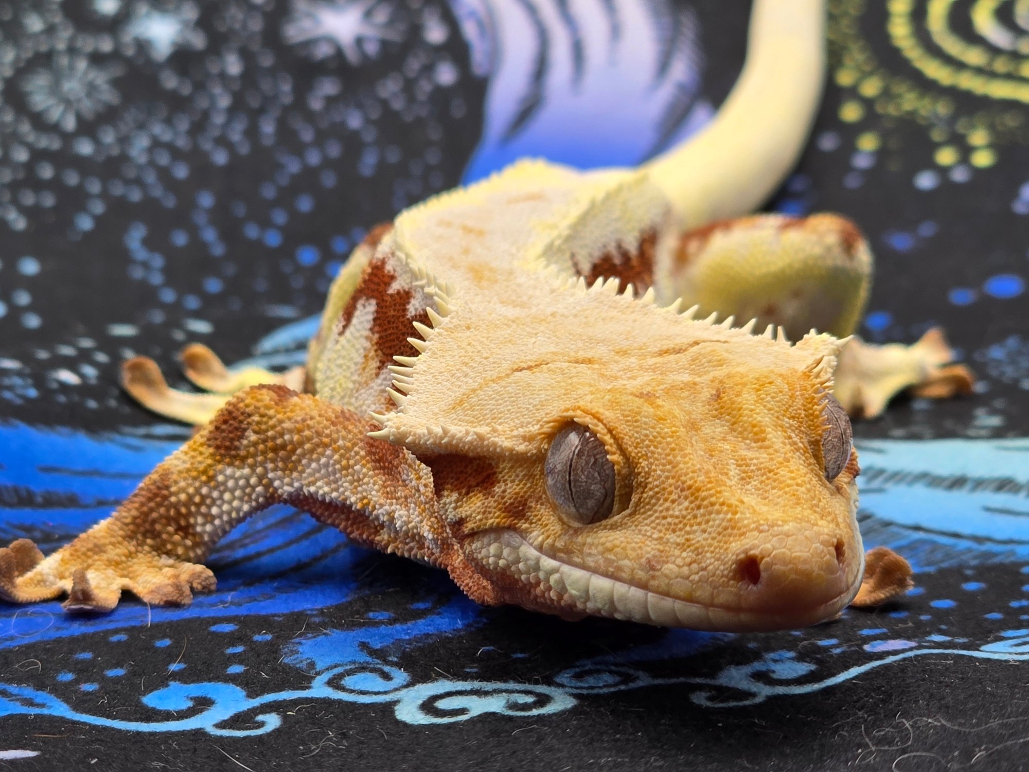 1000010102 1000010102