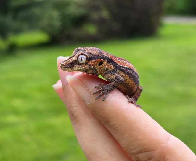 Screenshot 2025-08-21 155215 Screenshot 2025-08-21 155215