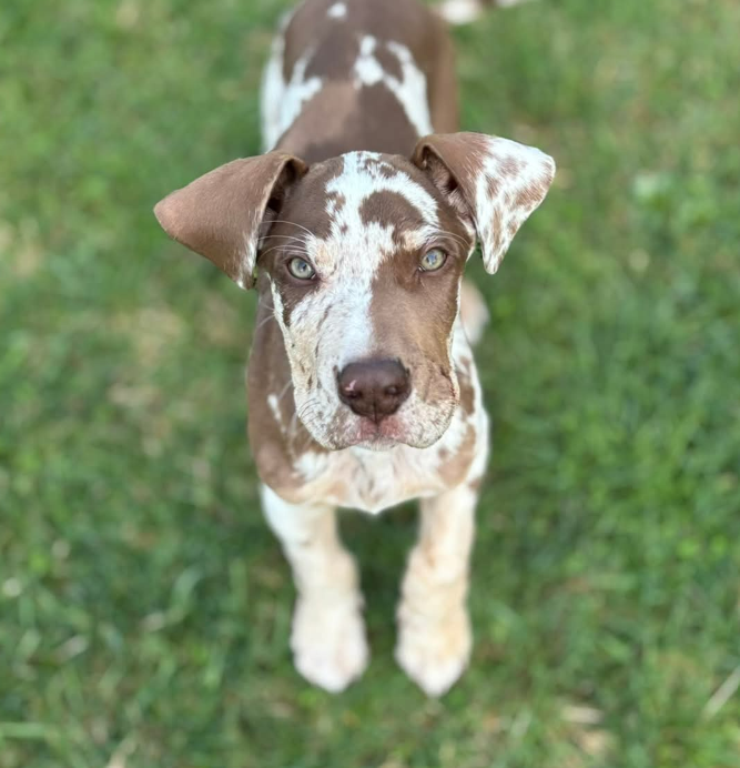 Screenshot 2025-08-21 162141 Screenshot 2025-08-21 162141